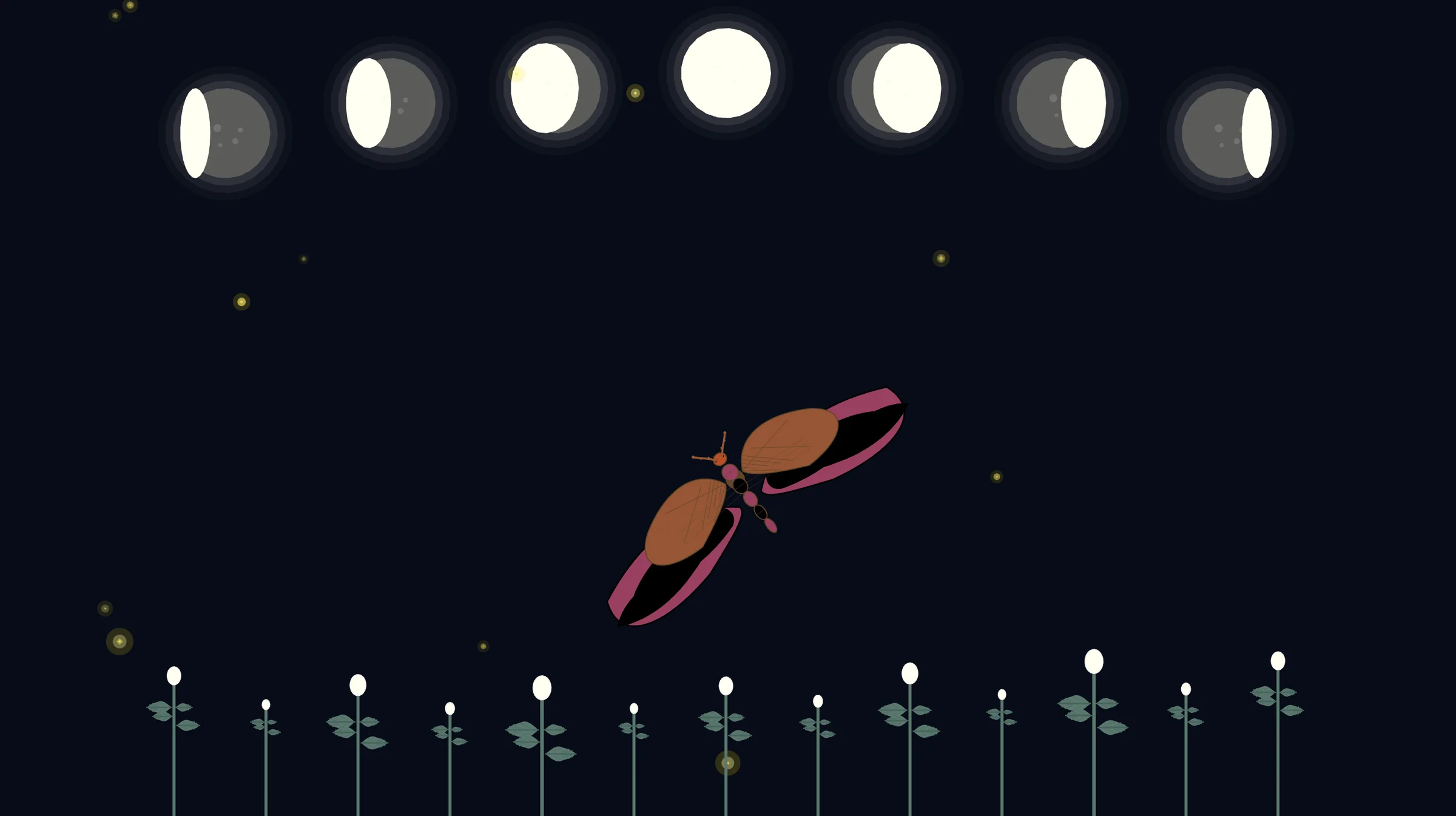 Creative Coding Projects