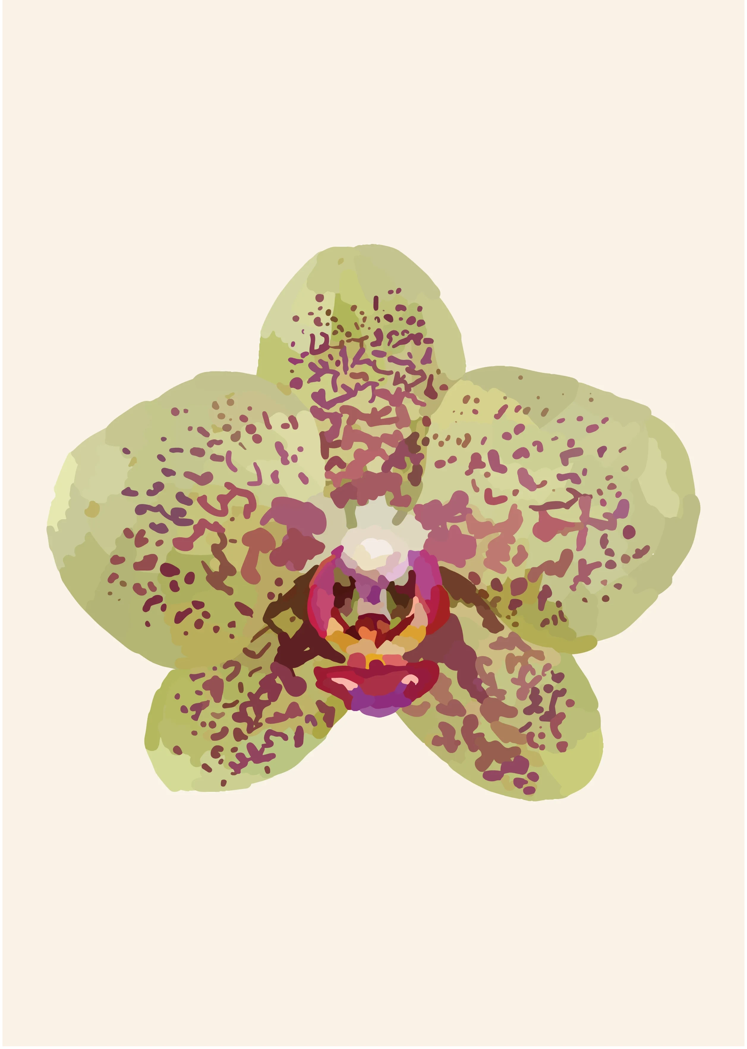 Green Orchid Illustration