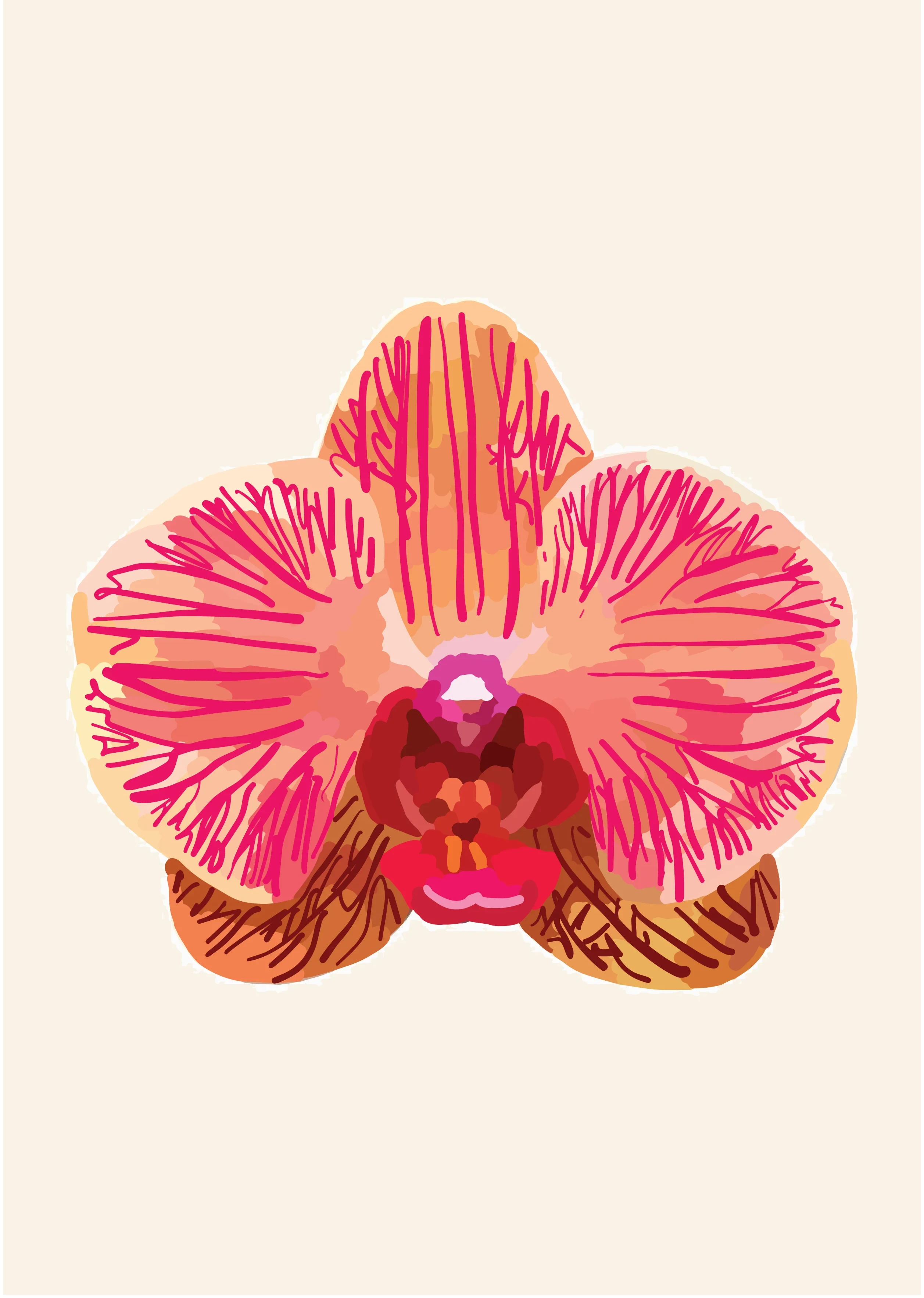 Orange Orchid Illustration