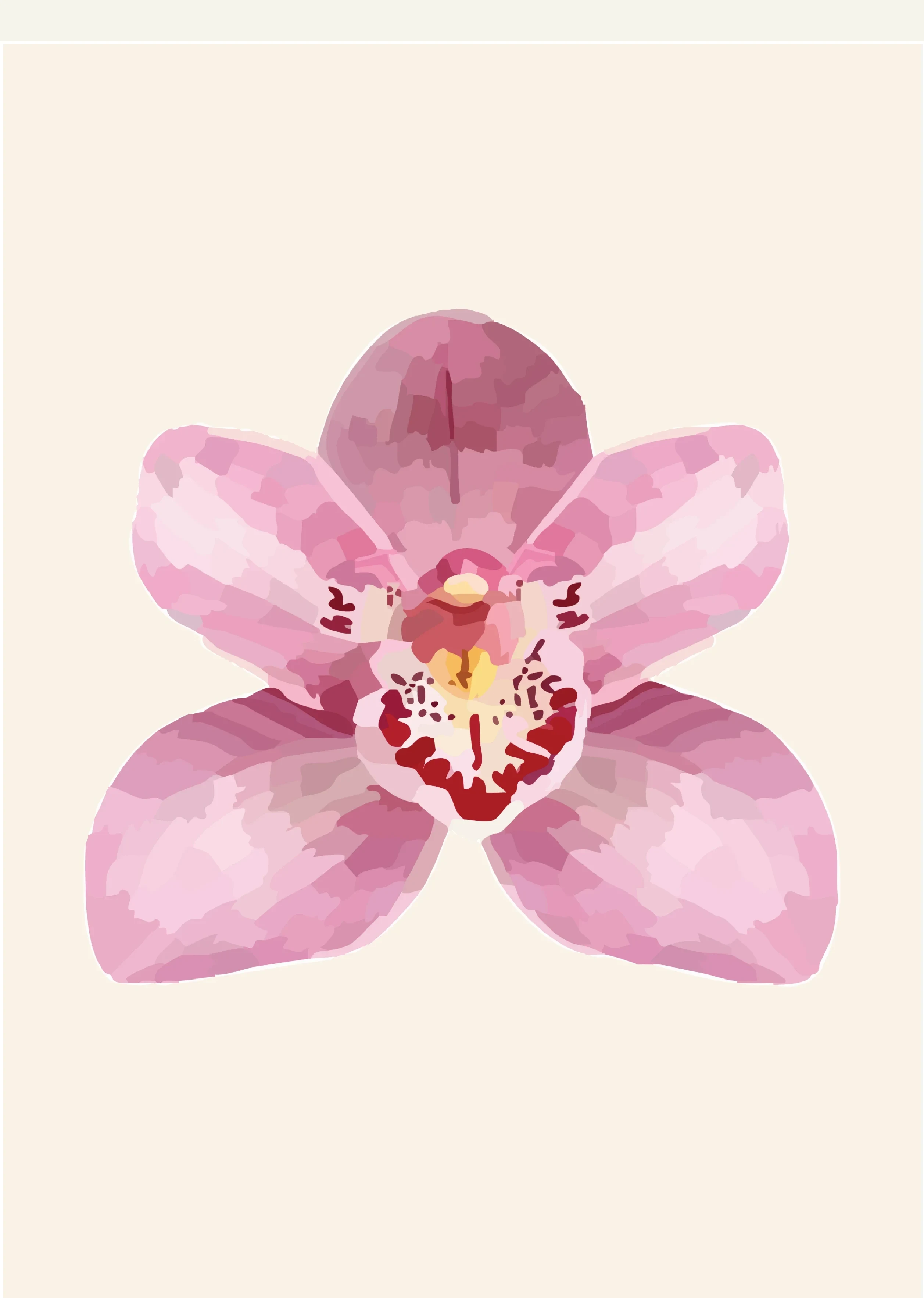 Pink Orchid Illustration