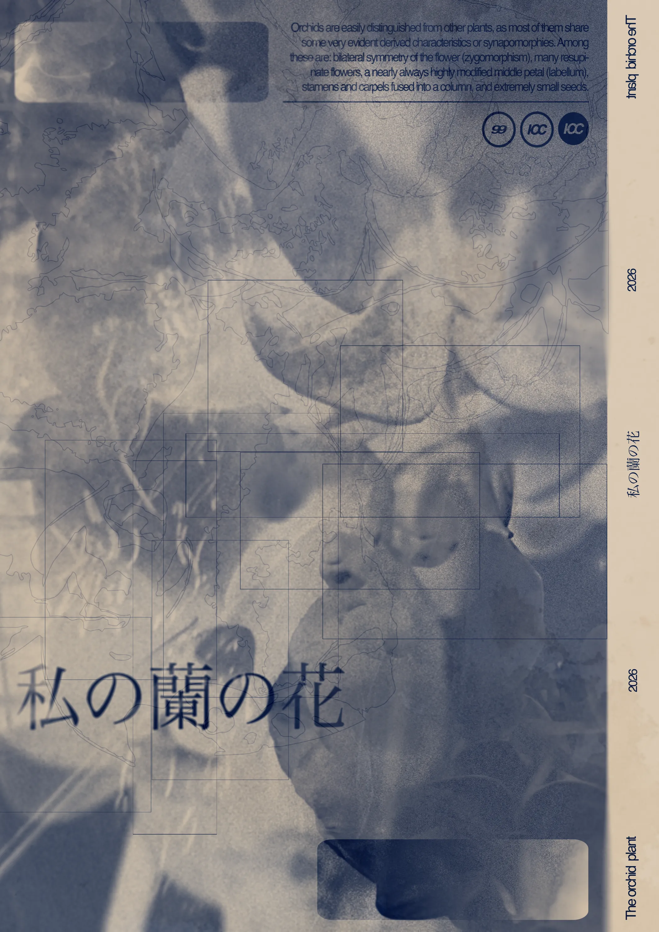 Japanese orchid design poster, blue version