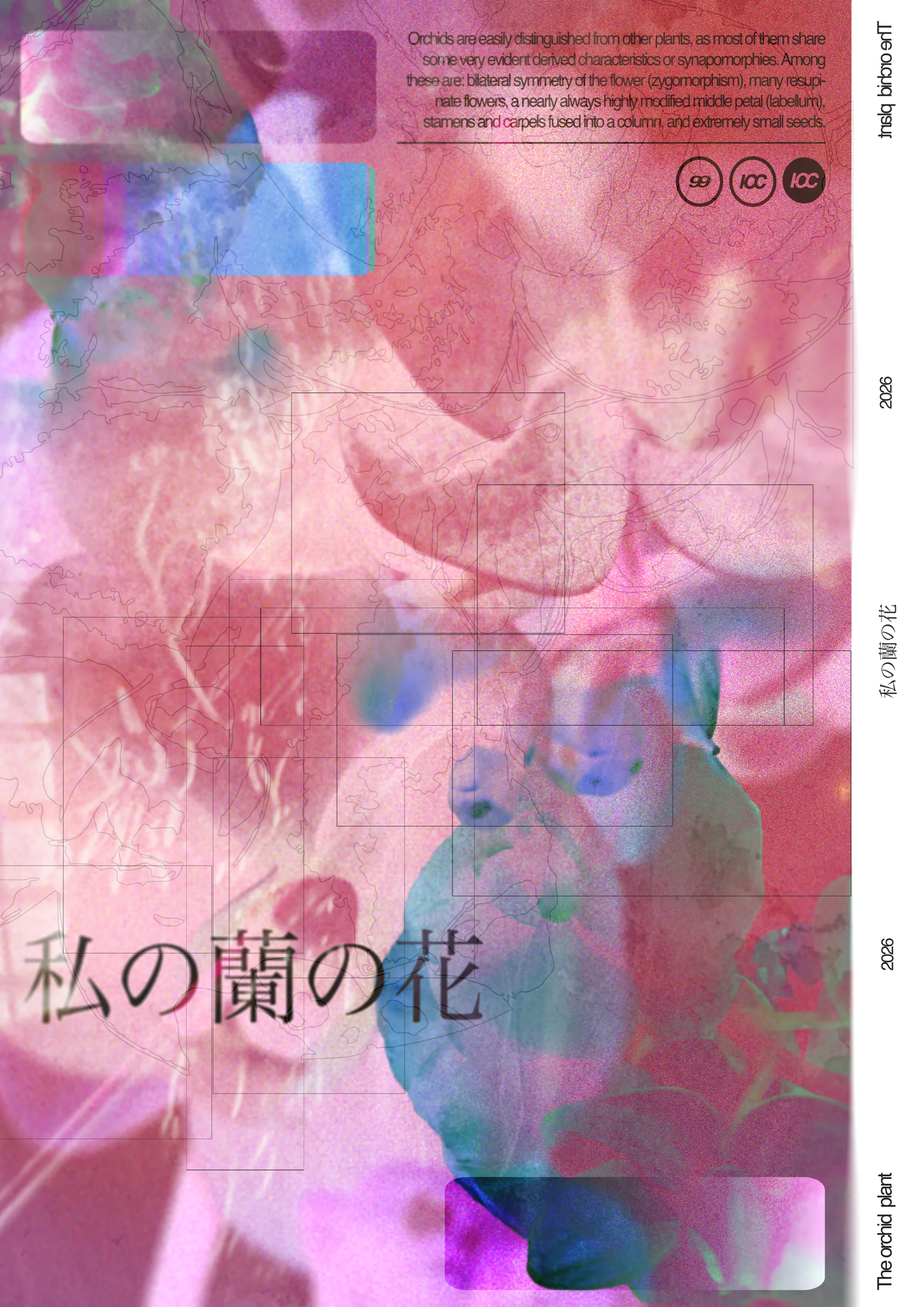 Japanese orchid design poster