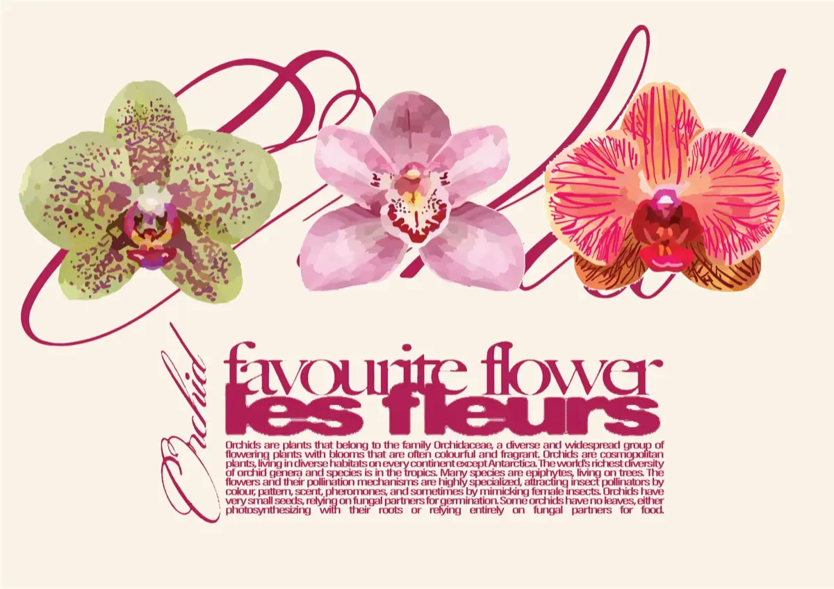 Rotated Orchid Poster Layout