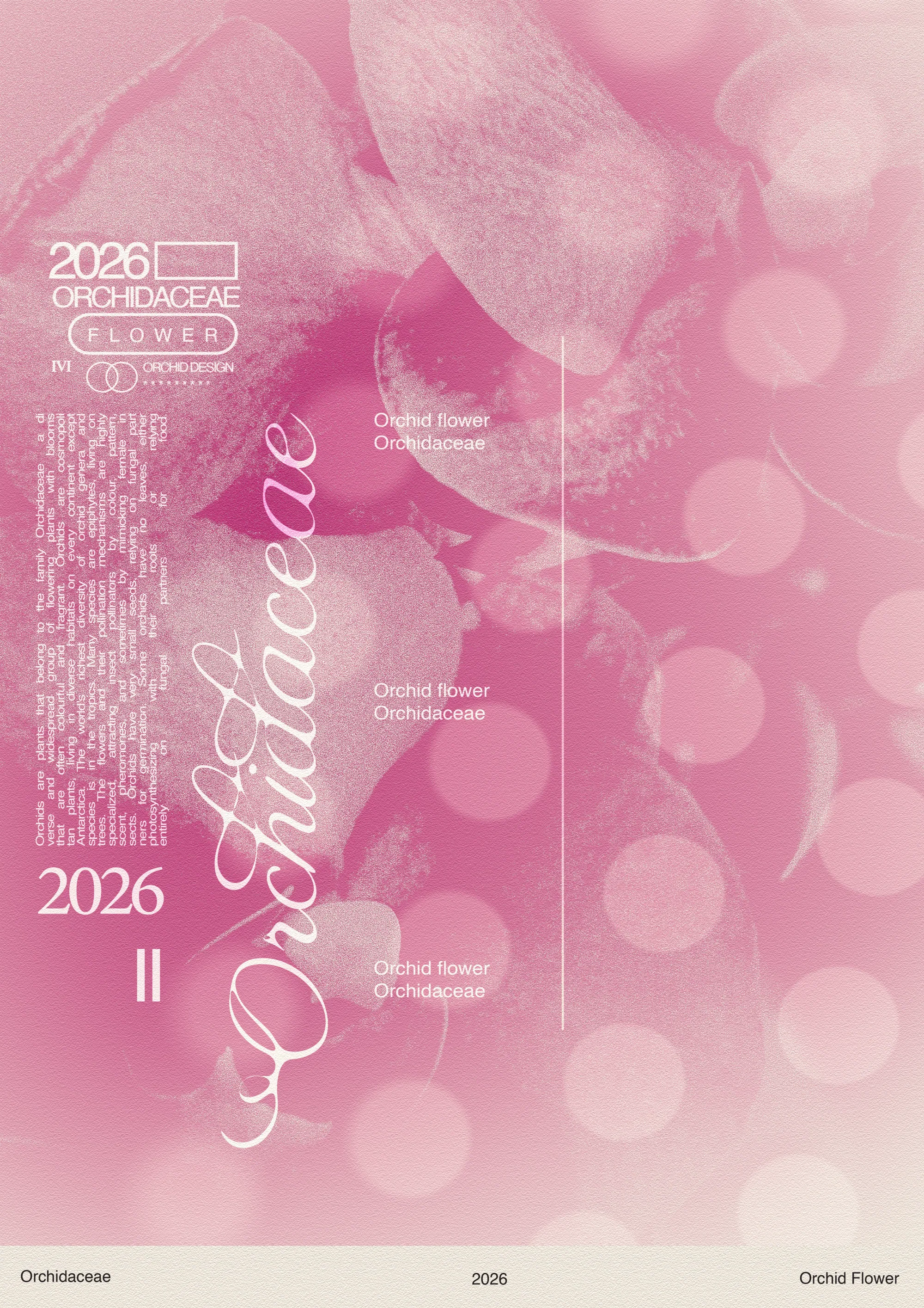 Pink Orchidaceae Poster