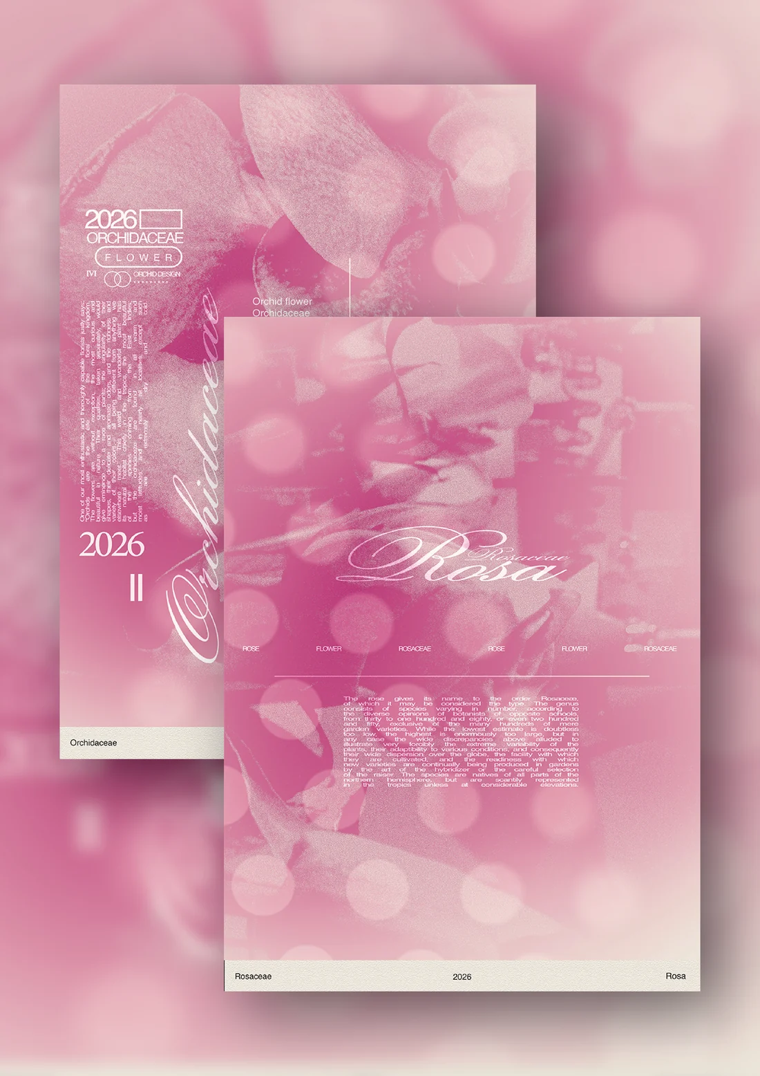 Flora  series poster