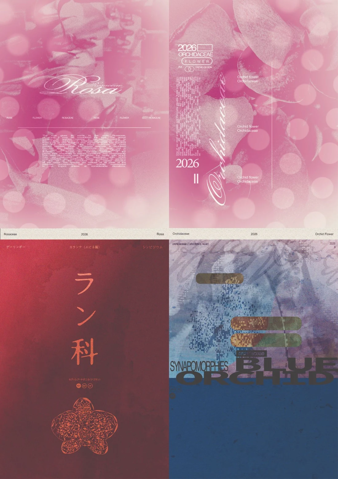 Orchid  botanical set poster